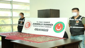 CİLVEGÖZÜ GÜMRÜK KAPISI’NDA, TIR’DA 2 BİN 533 SİKKE ELE GEÇİRİLDİ