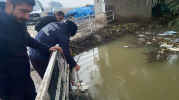 Sulama kanalında erkek cesedi bulundu