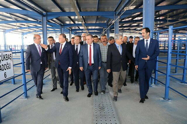 HATAY’IN İLK RUHSATLI HAYVAN PAZARI AÇILDI