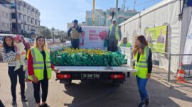 Reyhanlı’da 8 Mart Dünya Kadınlar Günü’ne Özel Defne Fidanı Dağıtımı yapıldı