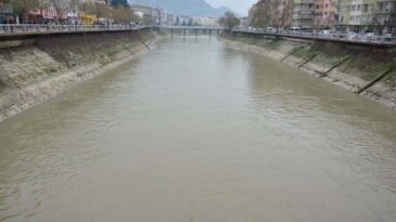 KENT MERKEZİNDEKİ SU SÜMBÜLLERİ TEMİZLENDİ