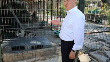 SAVAŞ: SATIN ALMA, SAHİPLEN