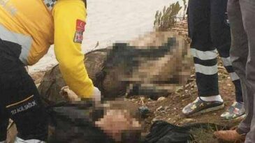 Afrin Çayı’nda 3 kadın  cesedi bulundu