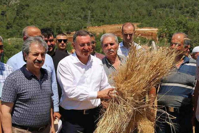 BAŞKAN SAVAŞ GDO’SUZ BUĞDAYLARIN HASADINI GERÇEKLEŞTİRDİ