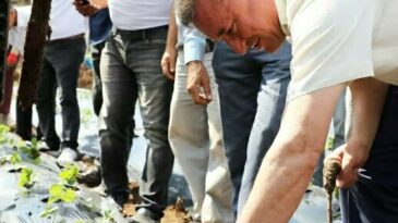 Hatay Büyükşehir Belediye Başkanı Doç. Dr. Lütfü Savaş: TARIMA DESTEĞİMİZ DEVAM EDECEK