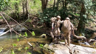 Amanoslar’da Terör Operesyonu Başlatıldı