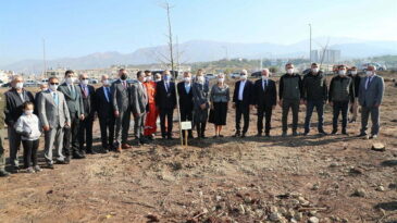 Türkiye’nin İlk Mabet Ağacı Ormanı Hatay’da