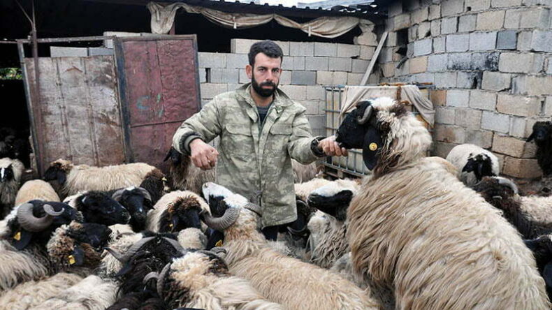 Küçükbaş hayvanları için mera alanı istiyorlar