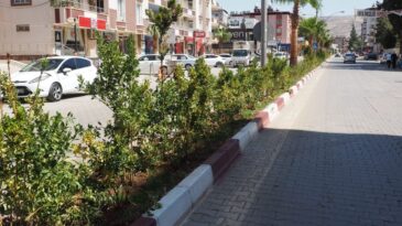 HBB’DEN REYHANLI’NIN CADDELERİNE ESTETİK DOKUNUŞ