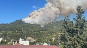 HATAY’DA ORMAN YANGININA HAVADAN VE KARADAN MÜDAHALE SÜRÜYOR
