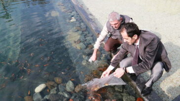 BİYOLOJİK EXPO GÖLETİ YAVRU BALIKLARI İLE İKİNCİ KEZ BULUŞTU