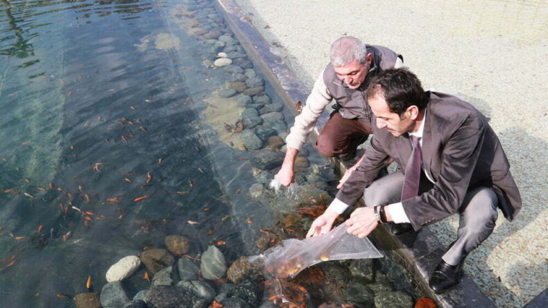 BİYOLOJİK EXPO GÖLETİ YAVRU BALIKLARI İLE İKİNCİ KEZ BULUŞTU