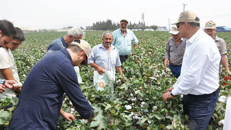 MAY Tohum’un Yeni Pamuk Çeşitleri Bereket Şenliğinde Çiftçilere Sunuldu