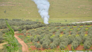 SINIRDA BOMBA ALARMI