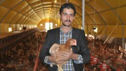 Genç Girişimci Organik Yumurta Çiftliği Kurdu