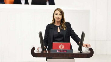 KARA: BU DÜZENLEME YOK HÜKMÜNDEDİR, ÖLÜ DOĞMUŞTUR