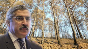 HATAY ORMAN BÖLGE MÜDÜRLÜĞÜ KURULDU