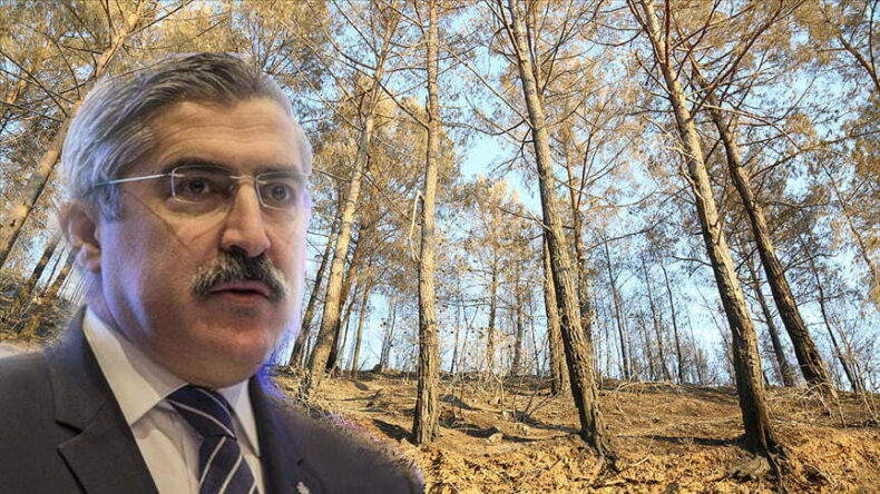 HATAY ORMAN BÖLGE MÜDÜRLÜĞÜ KURULDU