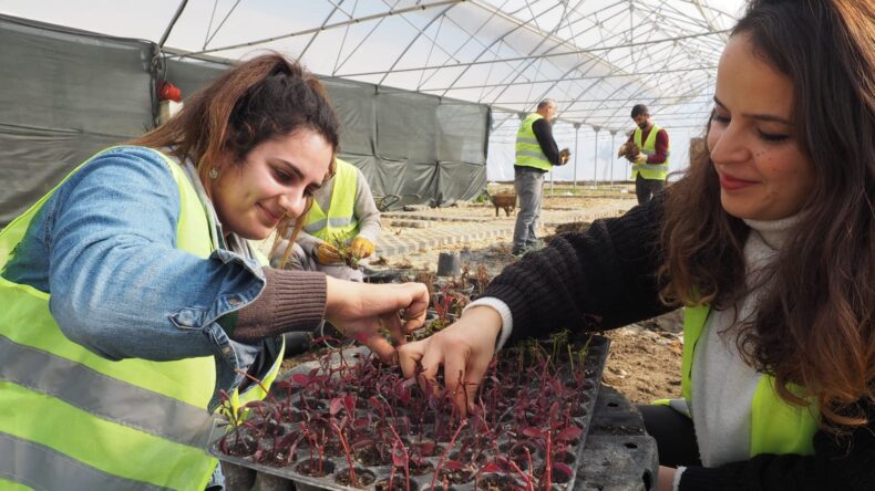 HBB ÜRETİYOR HATAY GÜZELLEŞİYOR