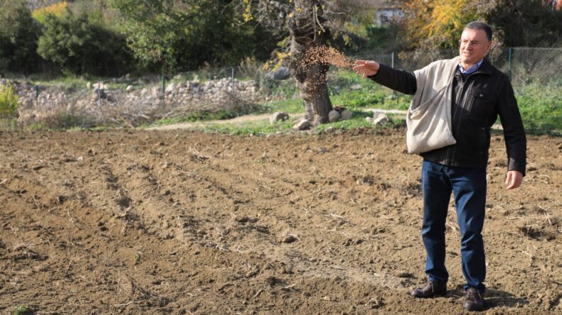 LÜTFÜ SAVAŞ ATA TOHUMLARINI TOPRAKLA BULUŞTURDU