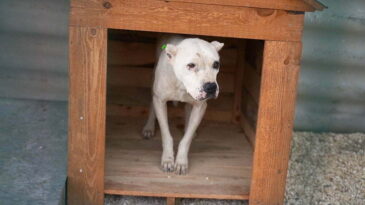 HBB’NİN ÇAĞRISI  KARŞILIK BULDU