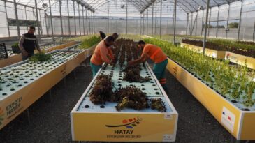 HBB’NİN PROJELERİ MEYVE VERMEYE BAŞLADI