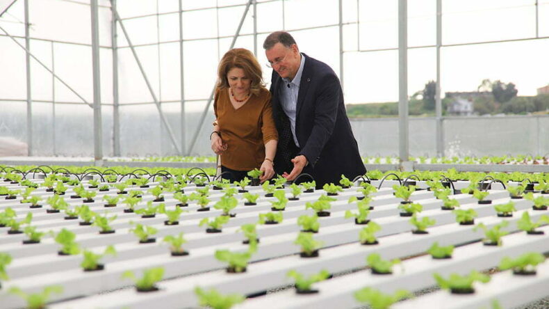 HBB’NİN TOPRAKSIZ TARIMI MEYVELERİNİ VERMEYE BAŞLADI