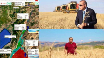 AMİK OVASI  SUYA KAVUŞTU