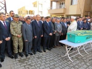 ???????????????????????????????