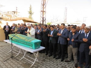 ???????????????????????????????