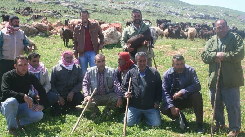 Reyhanlılı Çobanlar Sınırdaki Meranın Açılmasını İstiyor