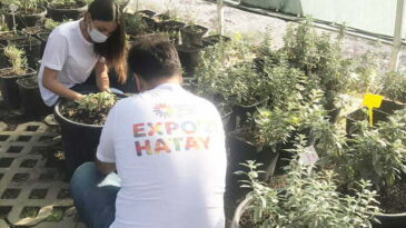 EXPO BAHÇELERİ  GÖNÜLLÜLERLE BÜYÜYOR