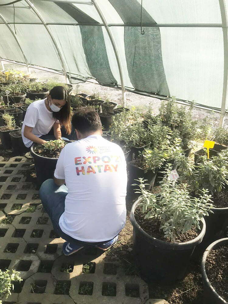 EXPO BAHÇELERİ GÖNÜLLÜLERLE BÜYÜYOR