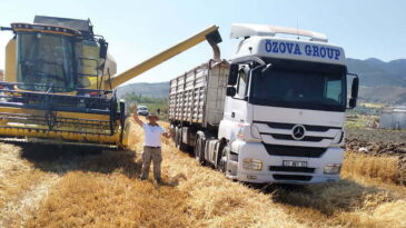 BUĞDAY HASADINDA ÖZOVA GELENEĞİ 36 YILDIR BOZULMUYOR