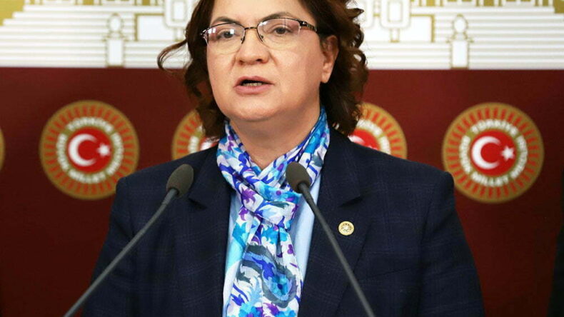 ŞAHİN “YAYLADAĞI VE CİLVEGÖZÜ SINIR KAPILARI DERHAL AÇILMALI”