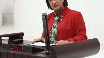 HATAY DÖRTYOL’DA KURULMAK İSTENEN ALÇI VE  GRAFİT OCAĞI MECLİS GÜNDEMİNDE