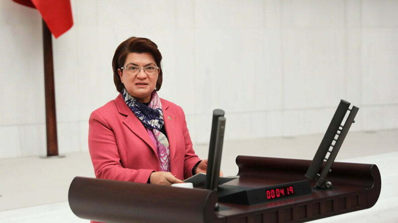 CHP’DEN VETERİNER HEKİMLER İÇİN KANUN TEKLİFİ: VETERİNERLER UNUTULMAMALI