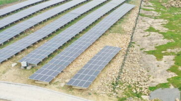 80 Dönümlük Arazi, Güneş Tarlasına Dönüştürüldü