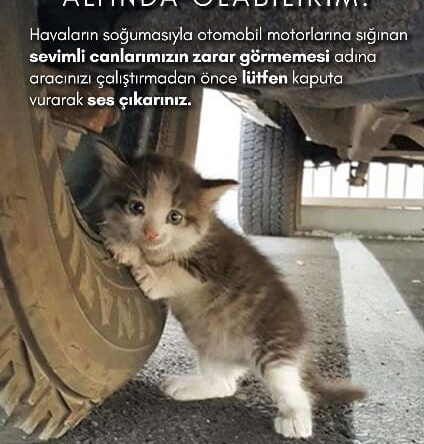 HBB FARKINDALIK YARATMAK İÇİN KAMPANYA BAŞLATTI