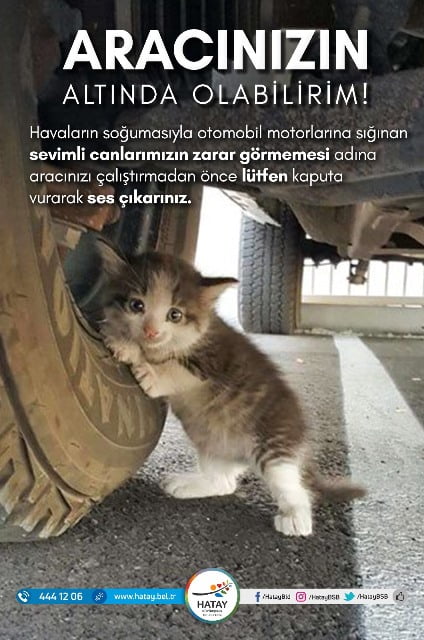 HBB FARKINDALIK YARATMAK İÇİN KAMPANYA BAŞLATTI