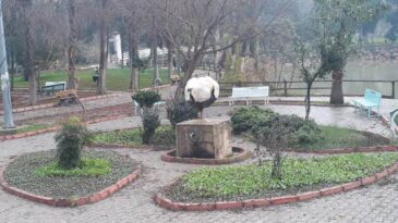 REYHANLI ÇİÇEKLERLE BEZENDİ