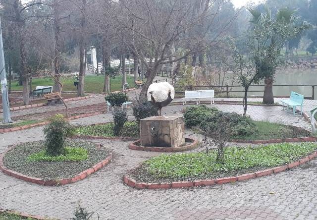 REYHANLI ÇİÇEKLERLE BEZENDİ