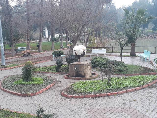 REYHANLI ÇİÇEKLERLE BEZENDİ