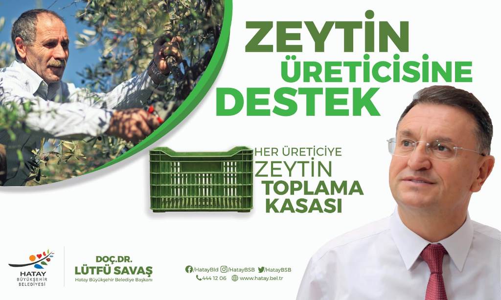 BÜYÜKŞEHİR’DEN ÜRETİCİYE ZEYTİN TOPLAMA KASASI
