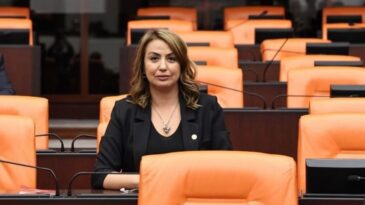 KARA: MALİ MÜŞAVİRLER DE BÜYÜK BİR YIKIM YAŞADI