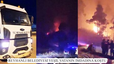 REYHANLI BELEDİYESİ YEŞİL VATANIN İMDADINA KOŞTU