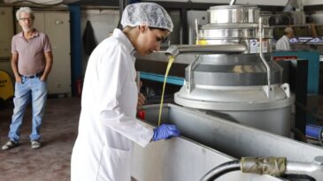 HBB’DEN ZEYTİNYAĞI FABRİKALARINA DENETİM