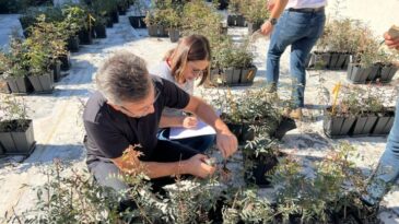 HMKÜ BİSAK TÜRKİYE’DEKİ TEK MERKEZ OLDU