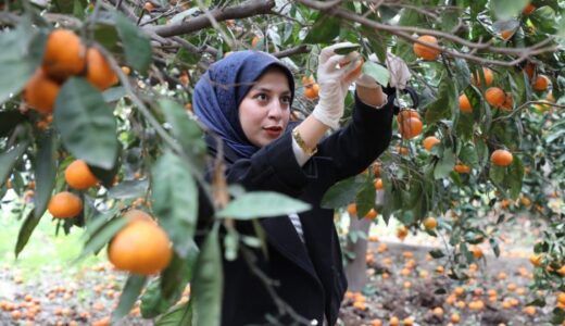 ÖĞRENCİLER TOPLADI, HBB DAĞITTI