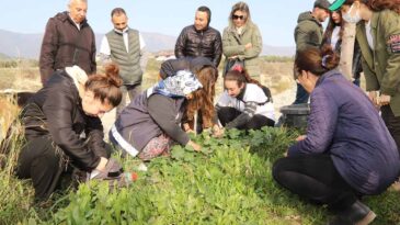 YENEBİLİR OTLAR EXPO İLE YENİDEN GÜNDEMDE